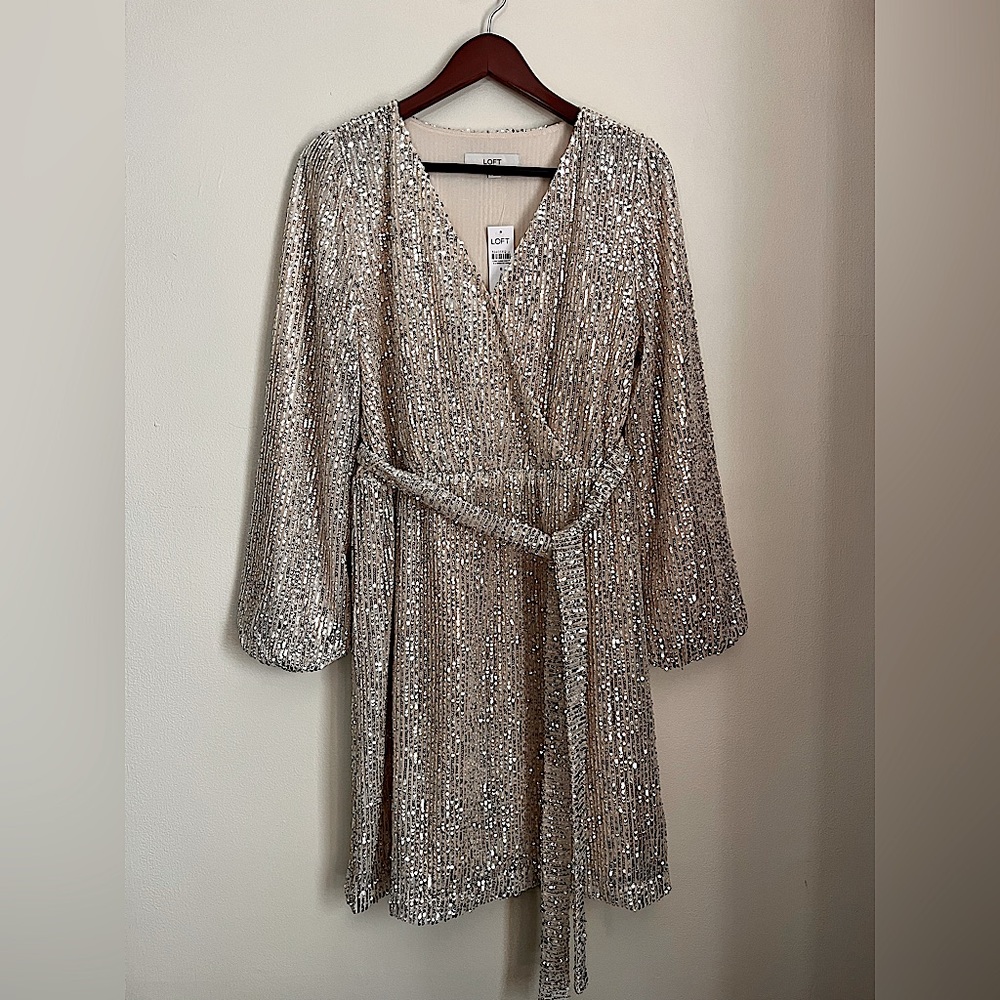 LOFT Sequin Dress